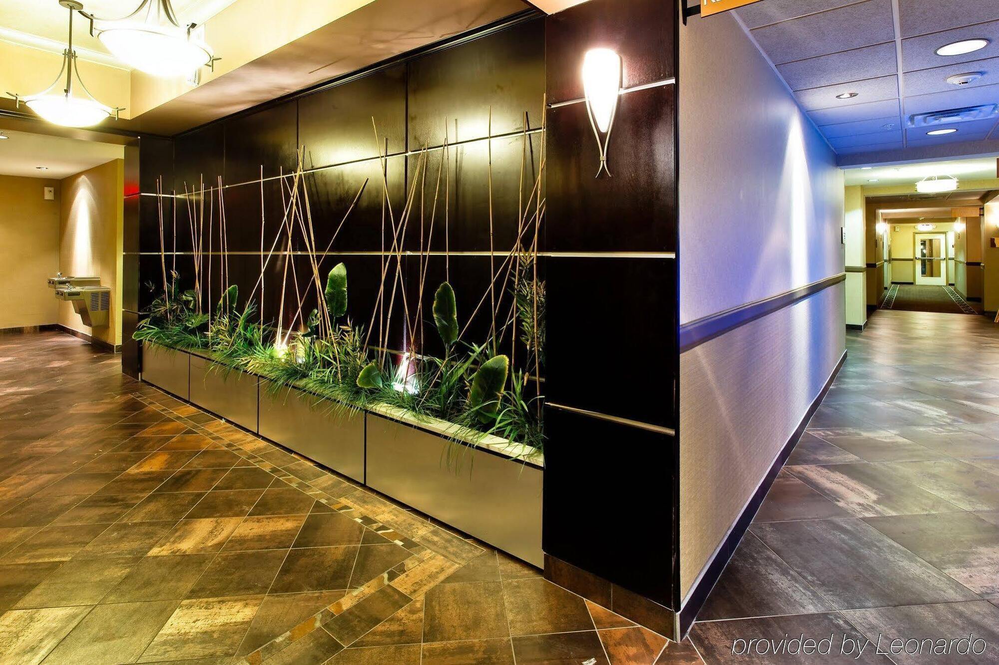 Holiday Inn Express Hotel & Suites Dallas South - Desoto By Ihg Εξωτερικό φωτογραφία